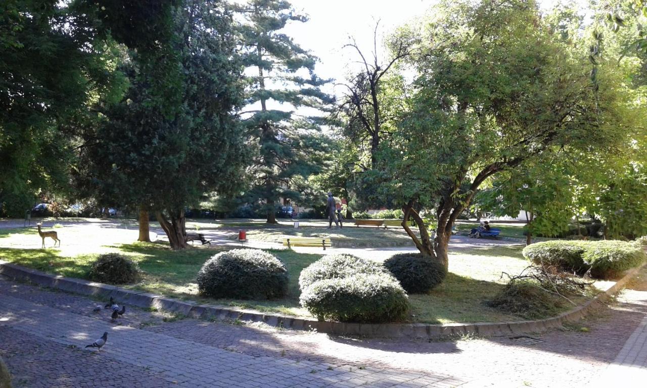 Red House Hotel Kyustendil Buitenkant foto
